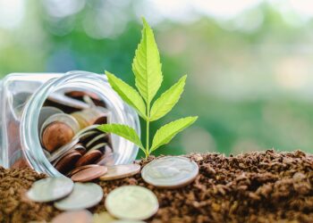 Plant growing from soil with coin in the glass jar against blurred natural green background and copy space for investment, business, finance and money growth concept