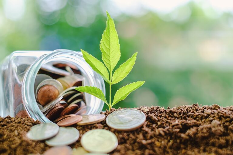 Plant growing from soil with coin in the glass jar against blurred natural green background and copy space for investment, business, finance and money growth concept