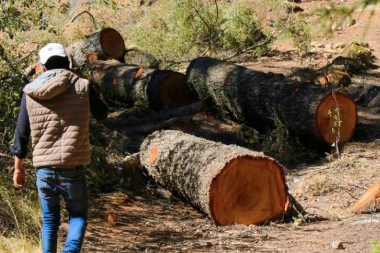 _hd00f30ab3b7391a5693928bf4372ea887fe471db6