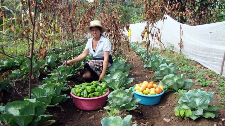 El-Salvador_huertos-familiares