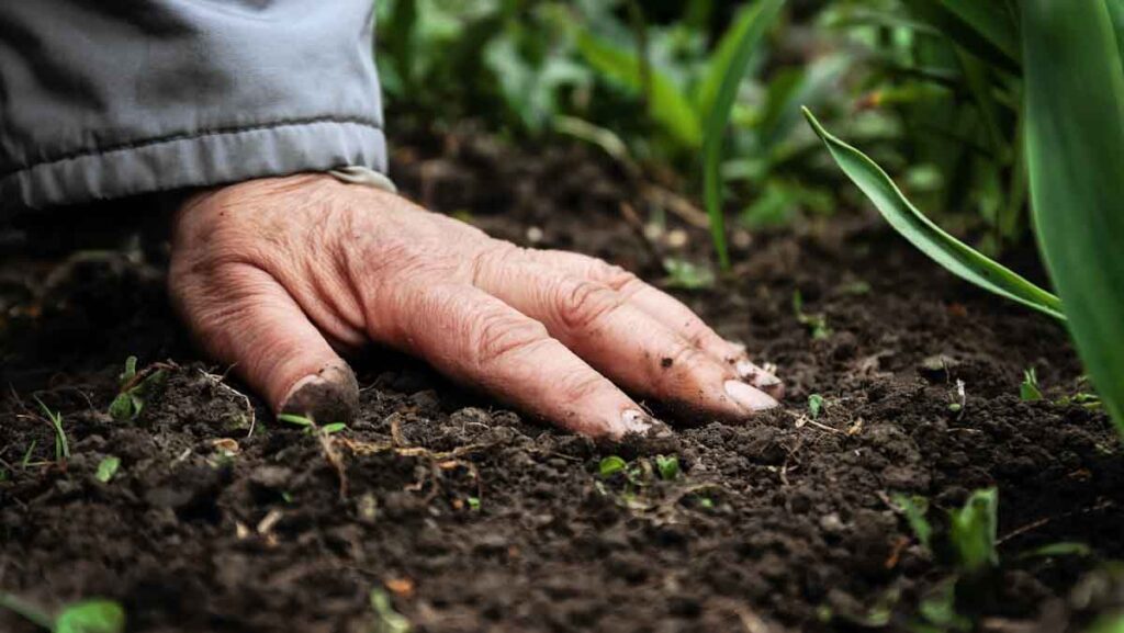 El-mercado-voluntario-de-creditos-de-carbono-supero-los-US-1000-MM-en-2021