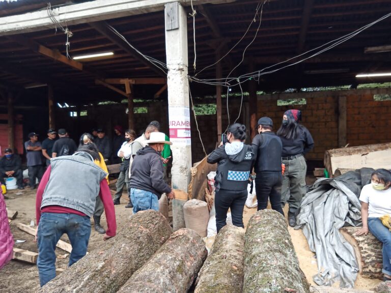 WhatsApp_Image_2022-06-27_at_5.10