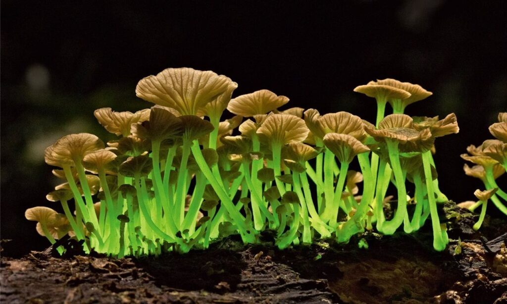 123780_1561813532_230