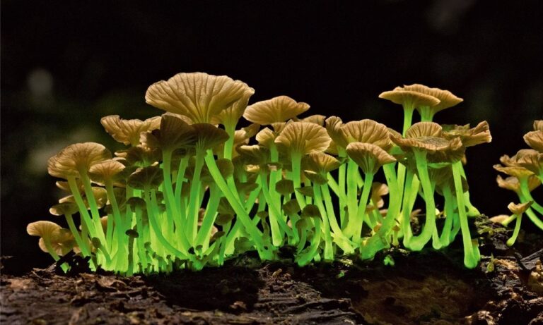 123780_1561813532_230