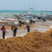 MEX9572, PLAYA DEL CARMEN, (MÉXICO), 13/04/2021.- Trabajadores recolectan hoy, alga de sargazo en Playa del Carmen, en el estado de Quintana Roo (México). Las costas del estado mexicano de Quintana Roo recibieron los primeros recales masivos de sargazo de este año, con mayor afectación en los balnearios de Playa del Carmen, Cozumel, Tulum, Xcalak y Mahahual. EFE/Alonso Cupul