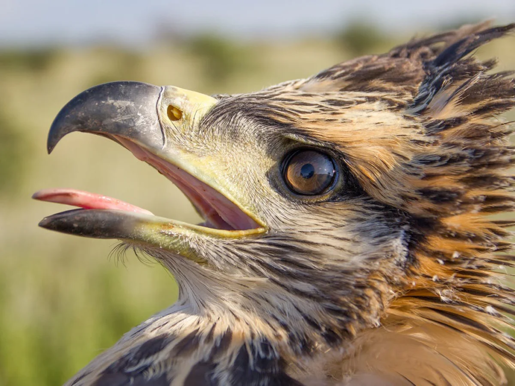 23R5MV32S5CW3MRI3JFD7JKOXA