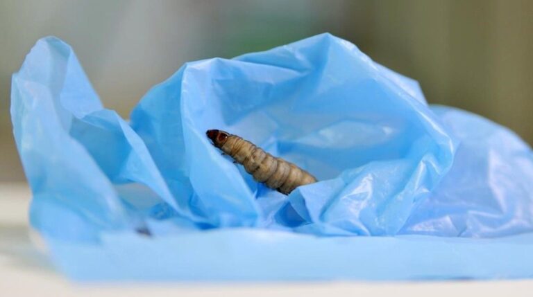 4361bc9d-ffbe-4d20-a936-b3b79b1b60d3_alta-libre-aspect-ratio_default_0