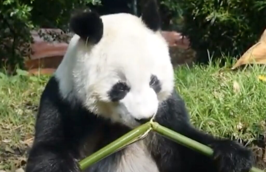 Captura-de-pantalla-2022-07-07-a-las-12.30