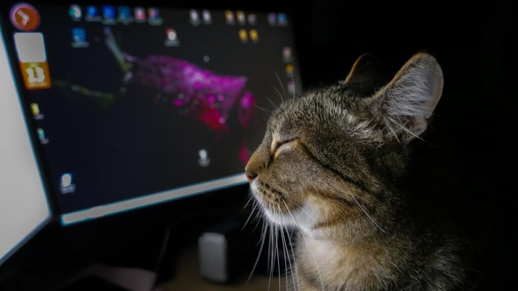 20210707121236tecnologiaanimal