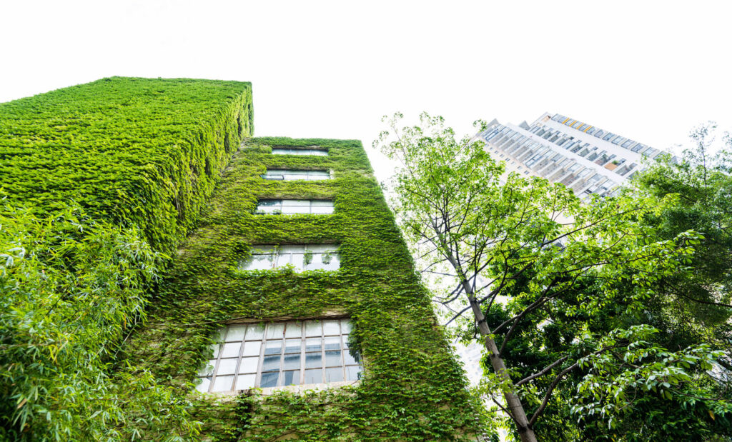 Un edificio verde, adaptado para hacer frente al cambio climático. Daniel Madariaga Barrilado.