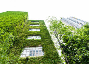 Un edificio verde, adaptado para hacer frente al cambio climático. Daniel Madariaga Barrilado.