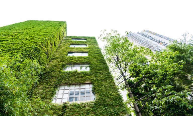 Un edificio verde, adaptado para hacer frente al cambio climático. Daniel Madariaga Barrilado.