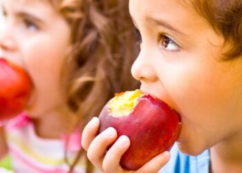 Fundación Pablo Landsmanas acciones contra desnutrición infantil.