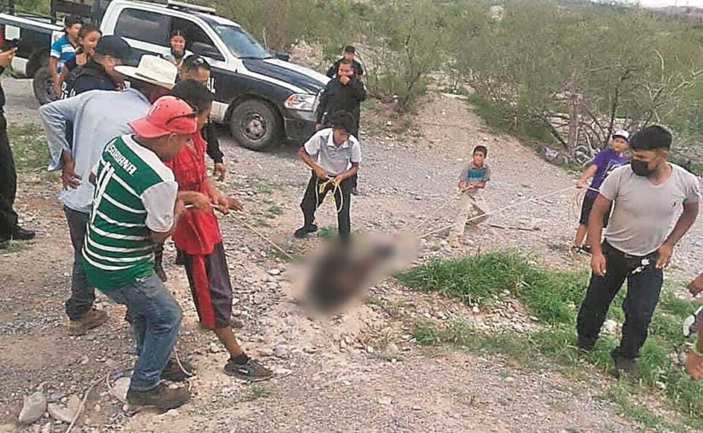 maltrato_animal_osezna_coahuila_optimized