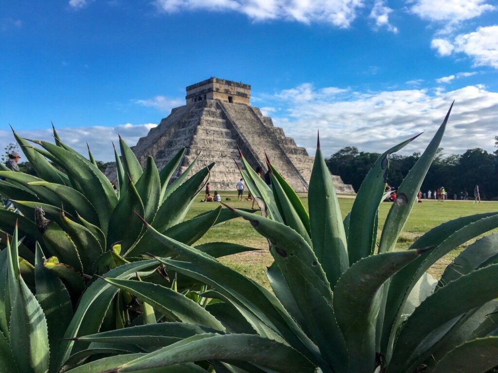 conoce-main-667x500@2x