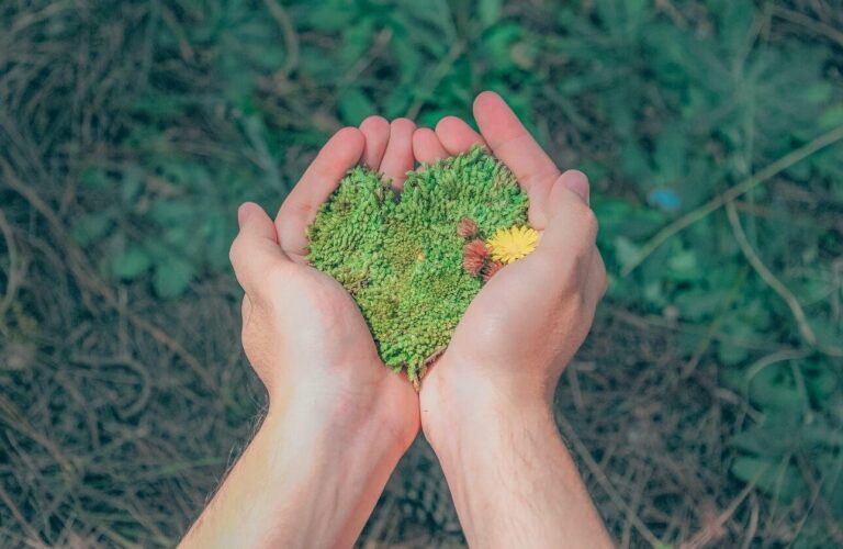 educacion-medioambiente-ok