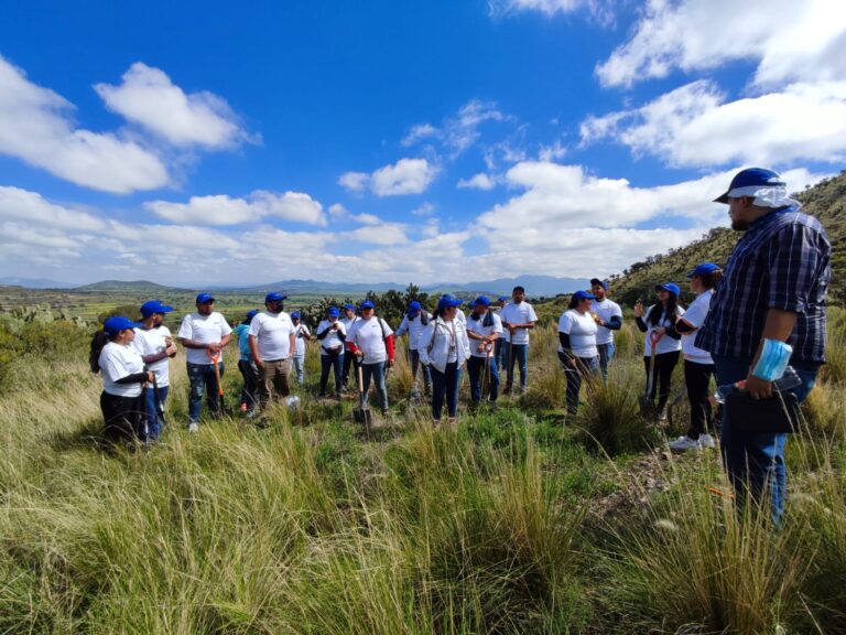 Trabajadores de Seguritech Privada reforestando Otumba.