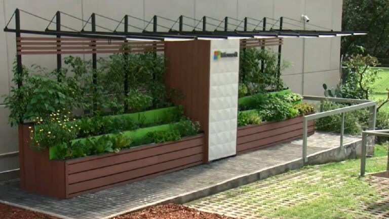 universum-huerto-inteligente-040644