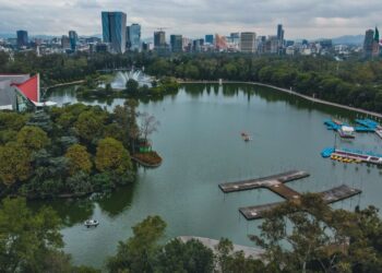 bosque de chapultepec