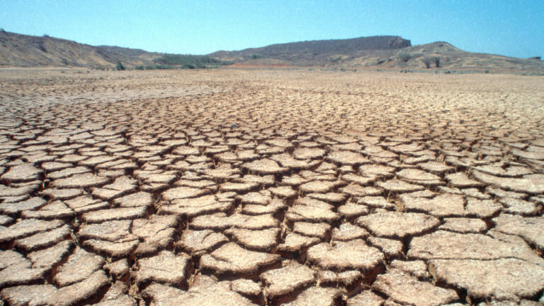 calor-cambio-climatico