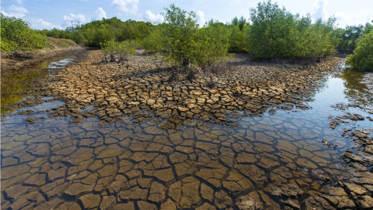 humedales-afectados-por-sequía