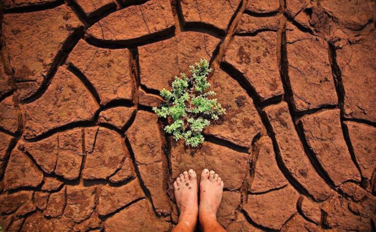 Daniel Madariaga Barrilado