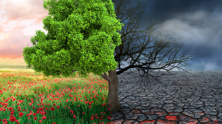 114586501_l-1568x882