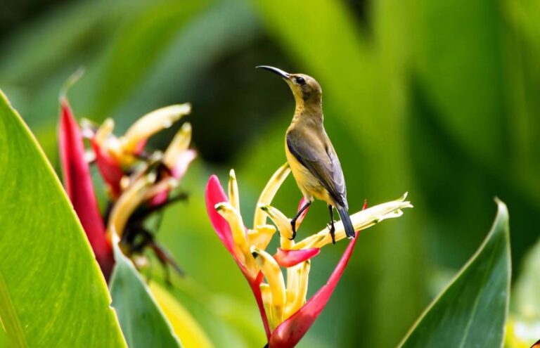 que-son-las-areas-naturales-protegidas-scaled