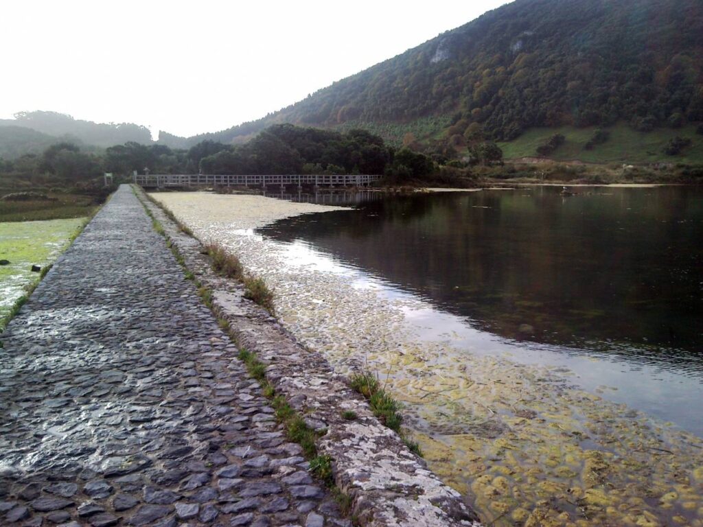 Las-actividades-humanas-han-cambiado-para-siempre-el-ciclo-del-nitrogeno-de-la-Tierra