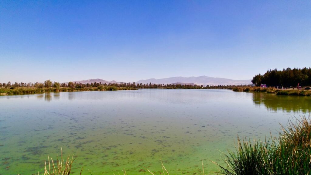 62ad019b32e45268572472