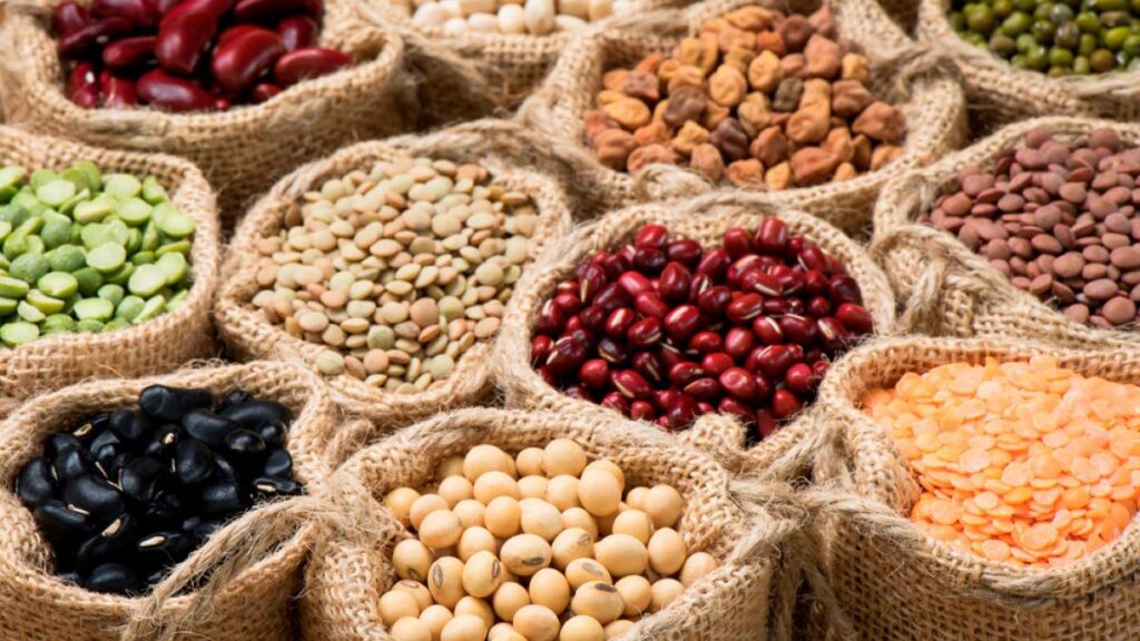 legumbres_que_son