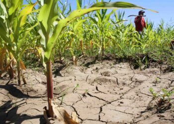 México sufre estrés hídrico