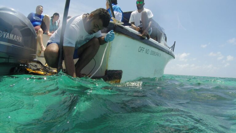 investigación marina