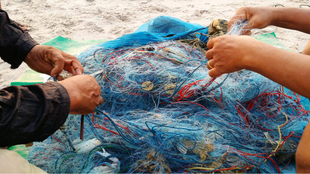 pesca-con-basura-CSIC