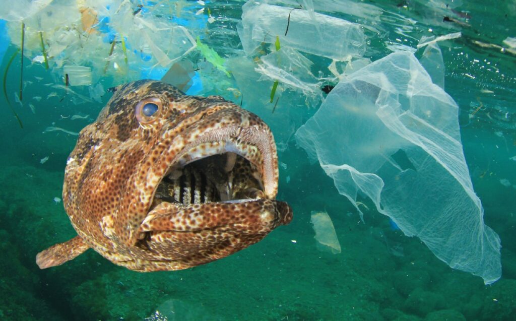 microplasticos-fuentes-importantes-contaminacion-oceano