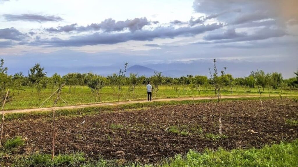 analisis-de-suelos-agricolas
