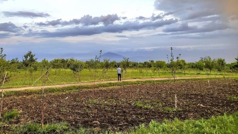 analisis-de-suelos-agricolas