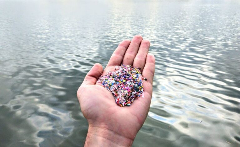microplasticos-rdn