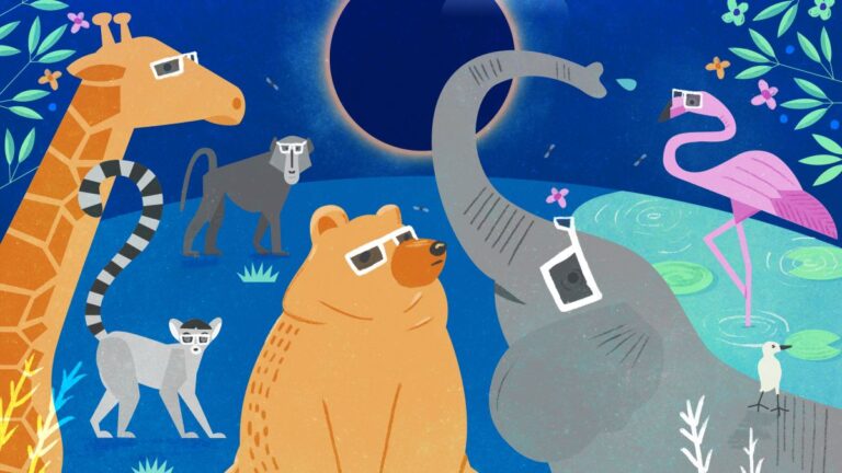 animales y eclipses
