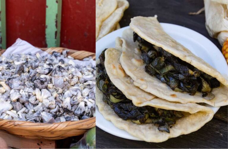 huitlacoche-para-quesadillas