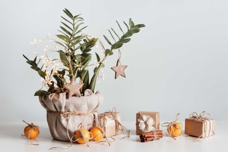 Navidad-Sustentable
