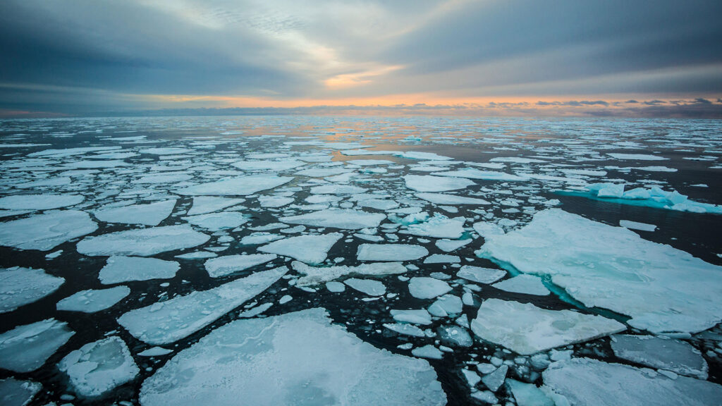 Sunrise over sea ice