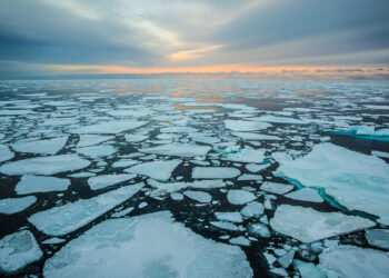 Sunrise over sea ice