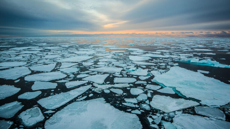Sunrise over sea ice