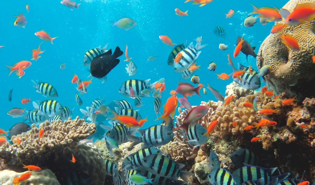 biodiversidad