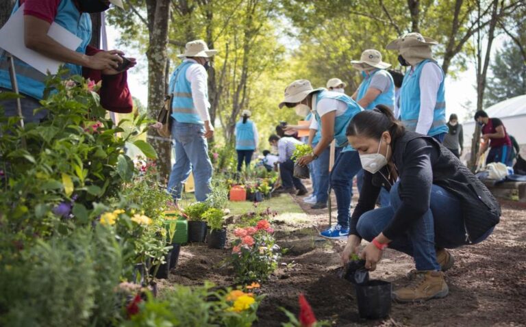restauracion-ambiental
