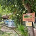 AJEMEX: Contribuye en el cuidado de la naturaleza y el medio ambiente