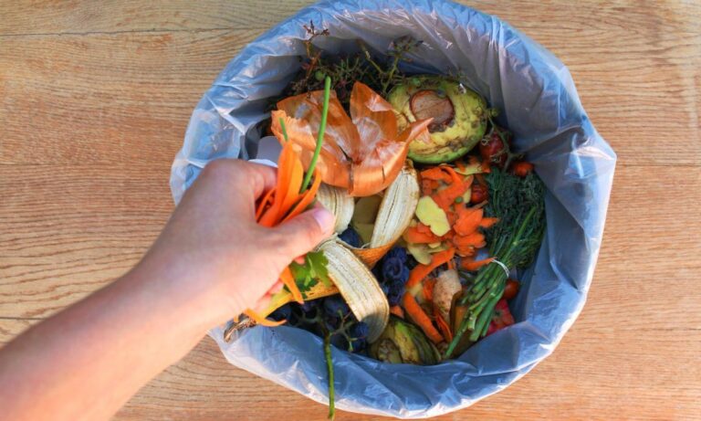 Tecnología termosolar reduce desperdicio de productos hortícolas