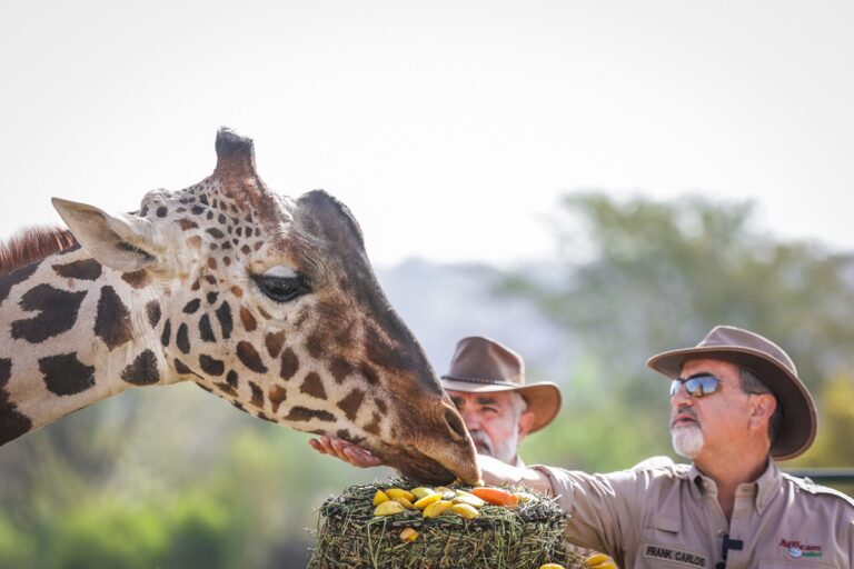Le ofrecen pastel de bienvenida a Benito