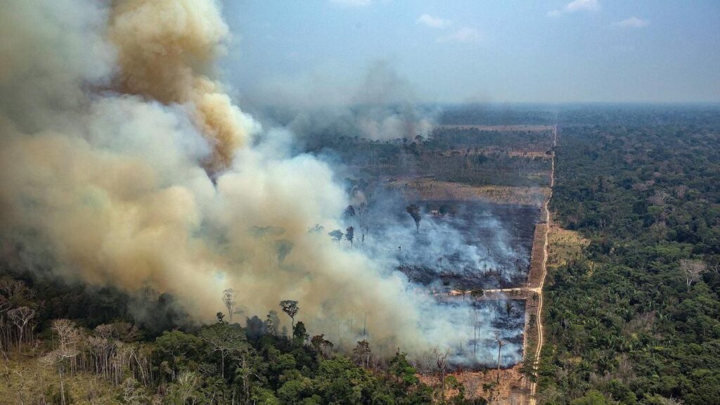 amazonia